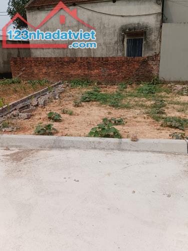 Bán Đất - Xã Tân Minh (Sóc Sơn) - 80m2 Full Thổ Cư -1,65 Tỷ