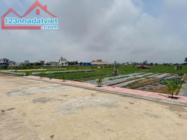 HOT – CHỈ 10 LÔ F0 GIÁ RẺ – VEN BIỂN QUẤT LÂM