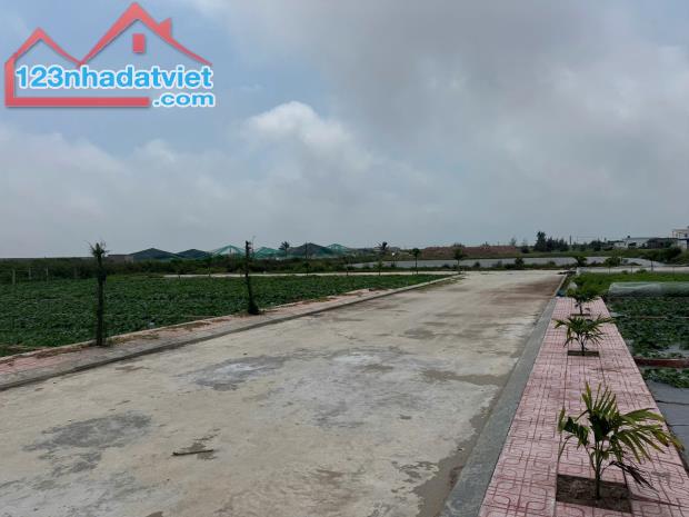 HOT – CHỈ 10 LÔ F0 GIÁ RẺ – VEN BIỂN QUẤT LÂM - 1