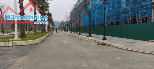 Chính chủ cần bán 5 suất ngoại giao VIP đất nền Centre Ville Lương Sơn mặt tiền 6m - 2
