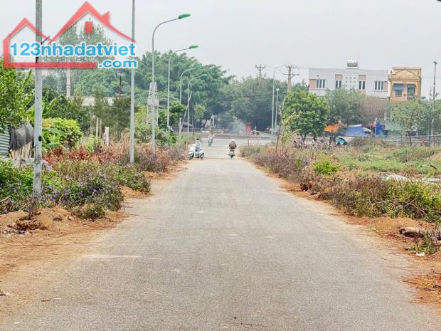 Bán đất Nam Hồng Đông Anh, Lô góc, 2 mặt thoáng, 57m2, 3,8 tỷ - 2