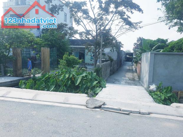 Bán đất Đông Phương - Kiến Thụy - Hải Phòng - 2