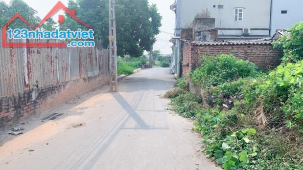 BÁN ĐẤT THỔ CƯ VÂN NỘI VÂN TRÌ - 1