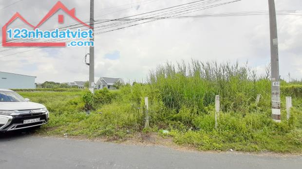 Bán miếng đất mặt tiền đường Trường Bình Phước Lâm Cần Giuộc. Giá 2,2 tỷ TL - 3