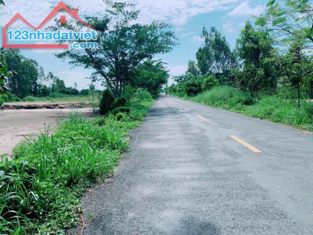 Bán Lô Đất Mặt Tiền Dường Nhựa xã Tân Nghĩa, Huyện Cao Lãnh, Đồng Tháp