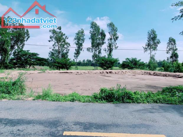 Bán Lô Đất Mặt Tiền Dường Nhựa xã Tân Nghĩa, Huyện Cao Lãnh, Đồng Tháp - 1