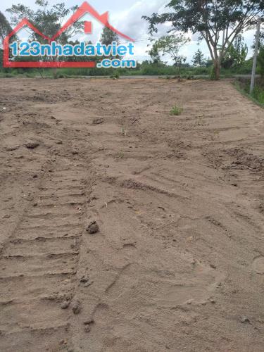 Bán Lô Đất Mặt Tiền Dường Nhựa xã Tân Nghĩa, Huyện Cao Lãnh, Đồng Tháp - 3