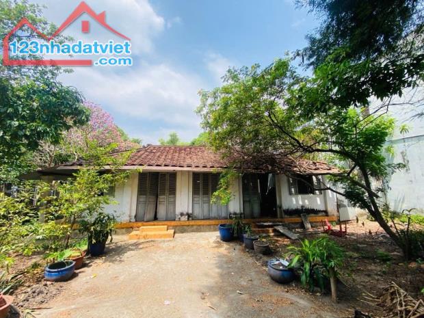 Hóc Môn bán đất full thổ cư diện tích rộng gần đường Nguyễn Ảnh Thủ phù hợp làm nhà vườn