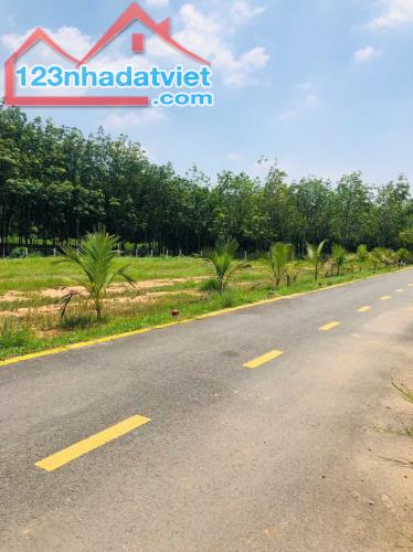 CẦN BÁN GẤP LÔ ĐẤT TÂN ĐỊNH THÀNH PHỐ MỚI BÌNH DƯƠNG GIÁ 680 TRIỆU