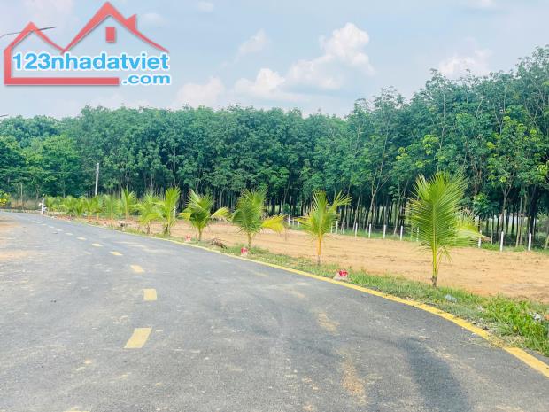 CẦN BÁN GẤP LÔ ĐẤT TÂN ĐỊNH THÀNH PHỐ MỚI BÌNH DƯƠNG GIÁ 680 TRIỆU - 1
