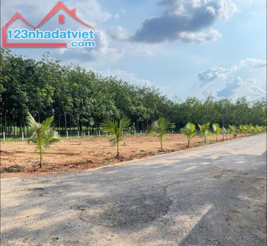CẦN BÁN GẤP LÔ ĐẤT TÂN ĐỊNH THÀNH PHỐ MỚI BÌNH DƯƠNG GIÁ 680 TRIỆU - 3