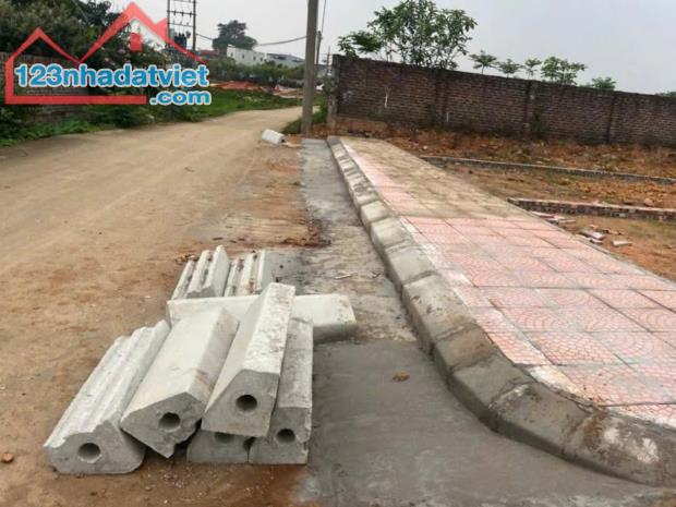 CHỦ KẸT TIỀN – CẮT LỖ BÁN GẤP LÔ ĐẤT 100M² 📍 Xuân Đồng – Tân Minh – Sóc Sơn - 1