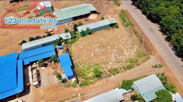 Đất thổ cư Tân Hoà mặt tiền đường nhựa lớn 32m giá chỉ 4xx - 2