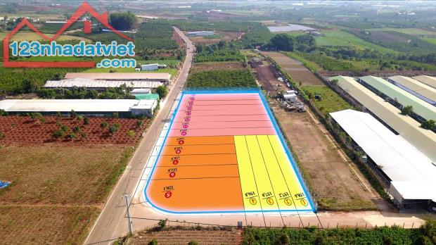 ĐẤT NỀN BÌNH THẠNH – GẦN SÂN BAY LIÊN KHƯƠNG Chỉ từ 850 triệu, Pháp lý rò ràng - 3