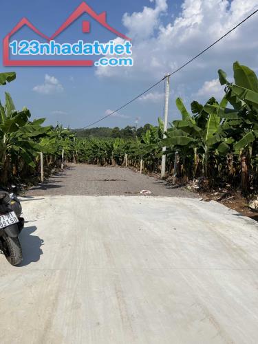 Chỉ 595tr sở hữu ngay lô đất siêu đẹp tại Định Quán