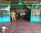 Hàng Ngộp Cần Cần Bán nhanh Căn nhà 520triệu Sổ Hồng Riêng 255m2 Sổ Hồng Riêng bao Phí