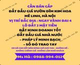 SIÊU PHẨM ĐẤT ĐẤU GIÁ VÀNH ĐAI 4 – VƯỜN DĨM KIM HOA, MÊ LINH, HÀ NỘI