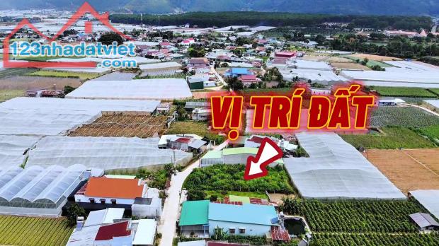 261m2 đất khu Villa tại D