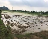 Đất Nền Sổ Đỏ Lĩnh Đông Phạm Thái Kinh  Môn, Hơn 100m2 đường ô tô Giá 520tr. Ib em Đại