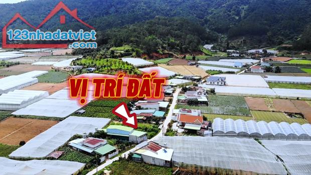 274m2 đất sổ hồng đường ô tô tại D