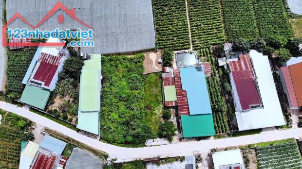 274m2 đất sổ hồng đường ô tô tại D