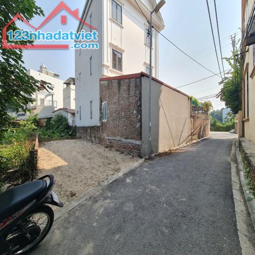 Bán đất Gia Lâm, gần Vin, 202m2 đường ô tô, mặt tiền rộng. Lh 0989894845 - 2