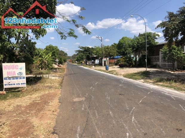 KẸT TIỀN BÁN GẤP 2012M2 ĐẤT SHR NGAY TRUNG TÂM THỊ XÃ SÁT CHỢ, TR. HỌC SẦM UẤT. GÍA 150TR - 1