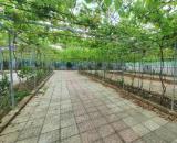 Chuyển nhượng khu vườn sinh thái gần 1Ha tại TP.Biên Hoà. Giá 58 tỷ. Sổ riêng. Đường 2 ôtô