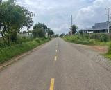 Bán đất vườn đường Bê Tông đường Nhựa Hàm Kiệm Giá đầu tư