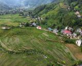 cần bán siêu phẩm 3500m 700m đất ở , view siêu đẹp tại Cao Phong Hòa Bình giá siêu rẻ