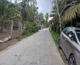 Lô đất vườn dừa Mặt tiền đường Giồng Da, (TT Châu Thành, Bến Tre)- Phú Túc, Vĩnh Long.
