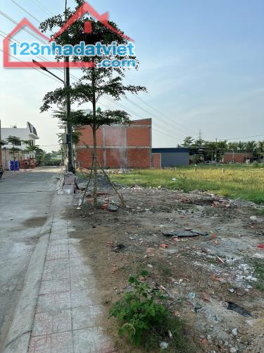 Đất thổ cư ngang 6m liền kề QL1A,Thân Cửu Nghĩa,Châu Thành,Tiền Giang - 1