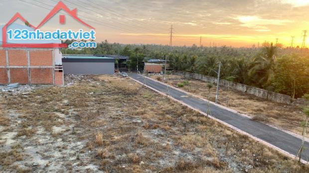 Đất thổ cư ngang 6m liền kề QL1A,Thân Cửu Nghĩa,Châu Thành,Tiền Giang - 3