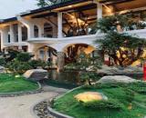 Bán Khuôn đất siêu khan hiếm mặt tiền. Dương Quảng Hàm - Q.Gò Vấp. 50 x 100m