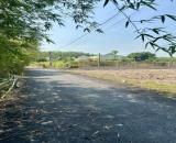 chính chủ bán 200m2 đất đường nhựa hương lộ 2 sổ hồng làm kho xưởng nhà vườn nhà trọ