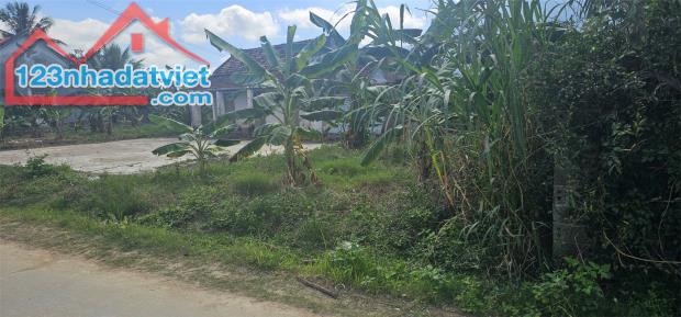 ĐẤT  ĐẸP- GIÁ TỐT- CẦN BÁN NHANH ĐẤT tại Xã Hòa Lễ, Huyện Krông Bông, Đak Lak - 3