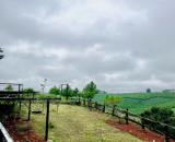 Bán trang trại view đẹp tại Đường Tỉnh lộ 725, Xã Lộc Ngãi, Bảo Lâm, Lâm Đồng, 900 triệu,