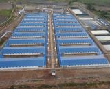 Bán Trang trại heo 26 Ha -Chư Prông, Gia Lai. Quy mô 18.000 heo thịt, Đang cho thuê 1.1