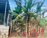 Bán đất thôn Mỹ Lợi giá chỉ 2,4tr/m2 xã Nam Ninh Hòa Khánh Hòa 0985451850