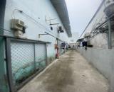 Bán nhà trọ Bình Tân, đường Tỉnh lộ 10, 110m2, bao đầu tư