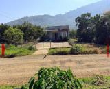 BÁN 9 SÀO SẦU RIÊNG, CAFE, LỘC THÀNH, BẢO LÂM - CÓ NHÀ, ĐƯỜNG NHỰA XE HƠI TẬN NƠI