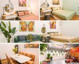 Nhà đẹp, nội thất mới đẹp Hàng Cháo, Cát Linh_Đống Đa 35m x 5T (3 ngủ)
