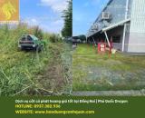 Dịch vụ cắt cỏ chuyên nghiệp giá rẻ ở Đồng Nai, Biên Hòa, HCM