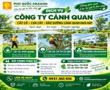Cắt cỏ, cưa cây, bảo dưỡng cảnh quan ở Long Thành, Đồng Nai