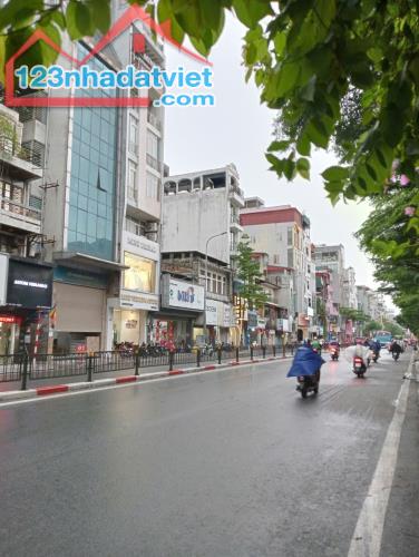 TÒA NHÀ THƯƠNG HIỆU MẶT PHỐ TÔN ĐỨC THẮNG 200M² x 9 TẦNG – HẦM -140 TỶ-DT 500 TRIỆU - 2