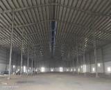 LA3. Cho Thuê Xưởng Kv: 6.000m2, Xưởng: 3.200m2, CẦN ĐƯỚC. Long An