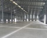 DN 1. Cho Thuê Xưởng Sản Xuất - Kho Lưu Hàng . Tại P. Phước Tân