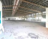 Cho thuê nhà xưởng gần KCN Long Thành, Đồng Nai, 40.000m2, giá thuê 1 tỷ 560/tháng