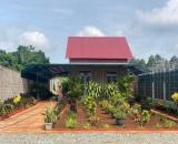 Nhà vườn 500m2, cho những ai thích yên bình ven Sài Gòn, SHR, Giá 1 tỷ 350, xã Thái Mỹ.
