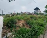 1250m2, mt85m, Đất Ruộng, SXNN, thổ cư, lô góc, 13.5 tỷ, Đông Anh.